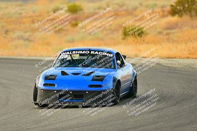 media/Sep-07-2024-Extreme Speed (Sat) [[dfc0b31d10]]/Red Group/Session 1-Turns 4 and 6/
